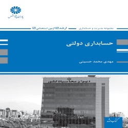 حسابداری دولتی مهدی محمدحسینی