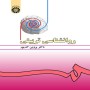 روانشناسی-تربیتی-پروین-کدیور